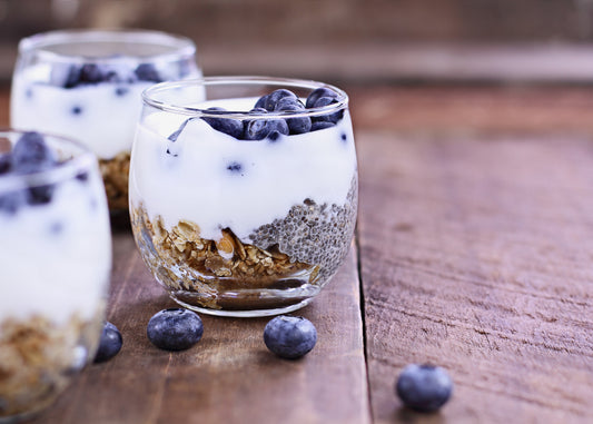 Probiotics 101: What You Need to Know About Healthy Bacteria